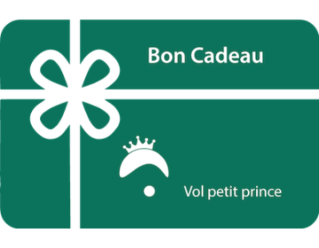 Vol petit prince
